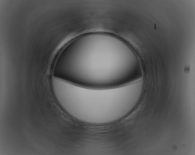 X0000096691173200802051030