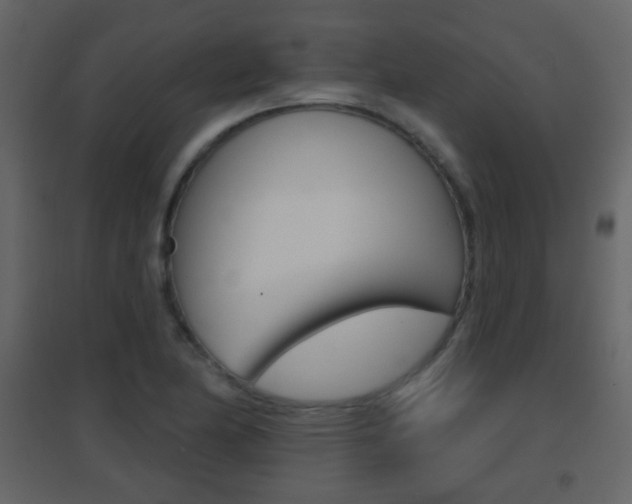 X0000096691174200802051030