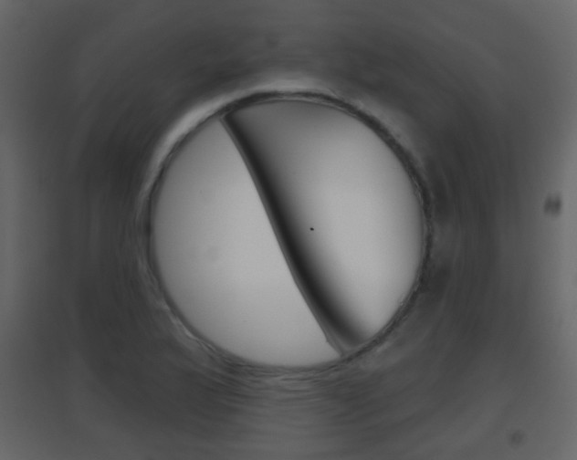 X0000096691175200802051030