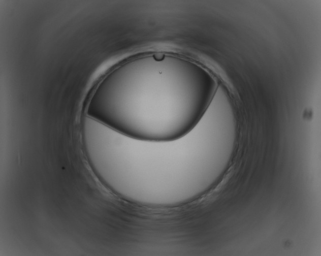 X0000096691176200802051030