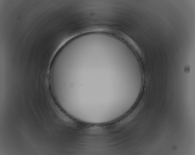 X0000096691178200802051030