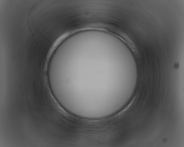 X0000096691180200802051030