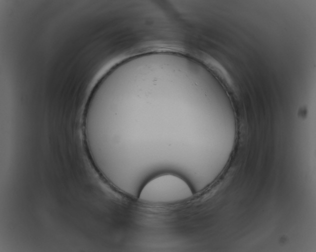 X0000096691182200802051030