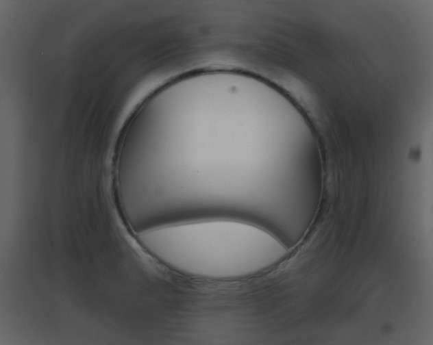 X0000096691183200802051030