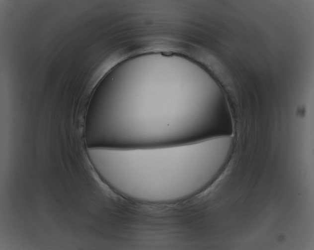 X0000096691185200802051030