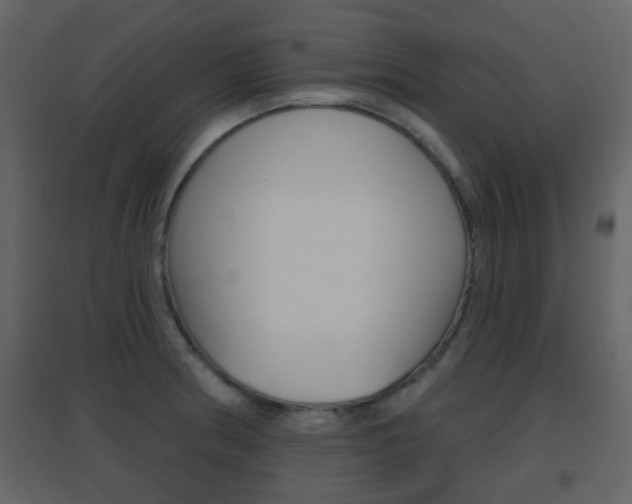 X0000096691186200802051030