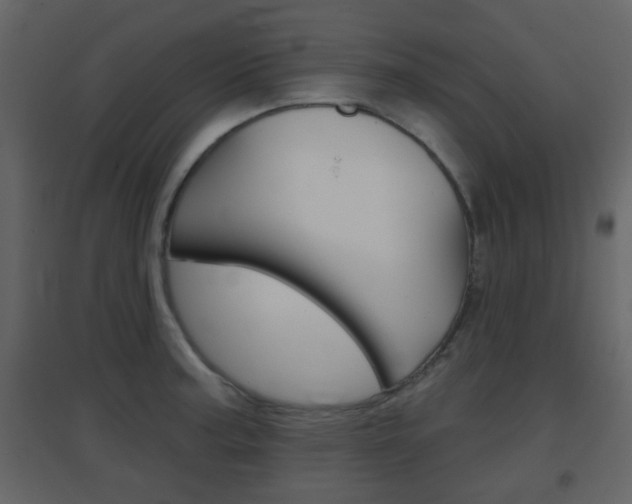 X0000096691187200802051030