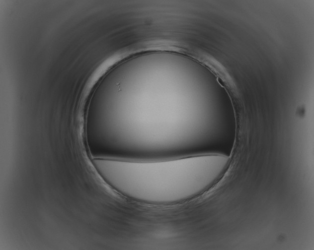 X0000096691188200802051030