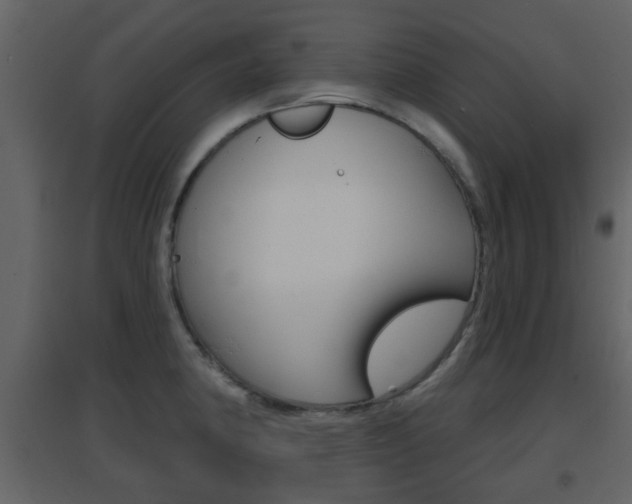 X0000096691190200802051030