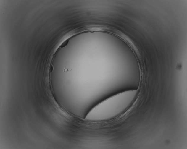 X0000096691194200802051030