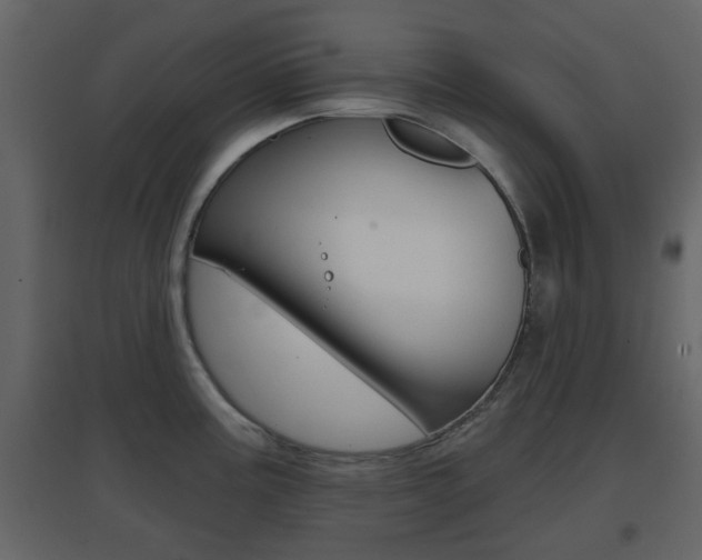 X0000096691195200802051030