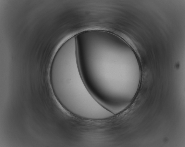 X0000096691197200802051030