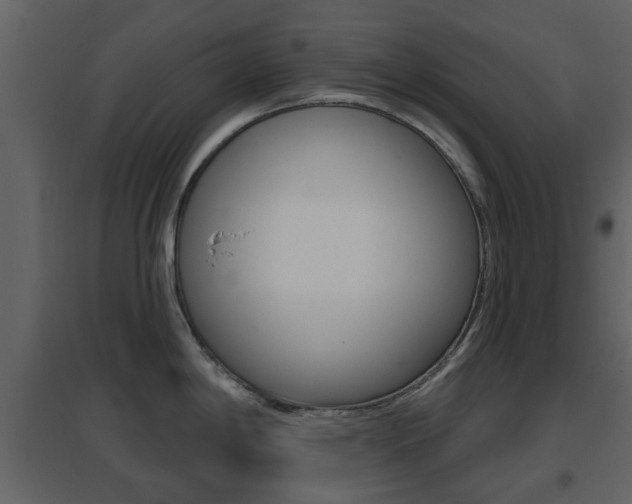 X0000096691198200802051030