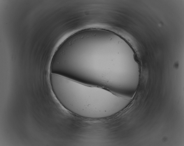 X0000096691199200802051030