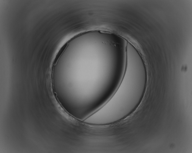 X0000096691200200802051029