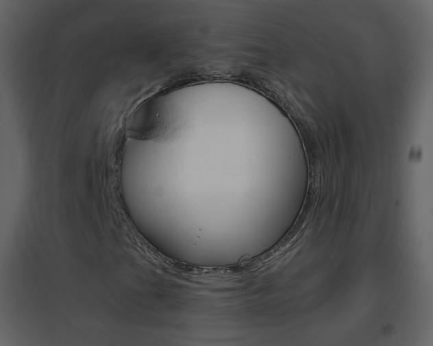 X0000096691201200802051029