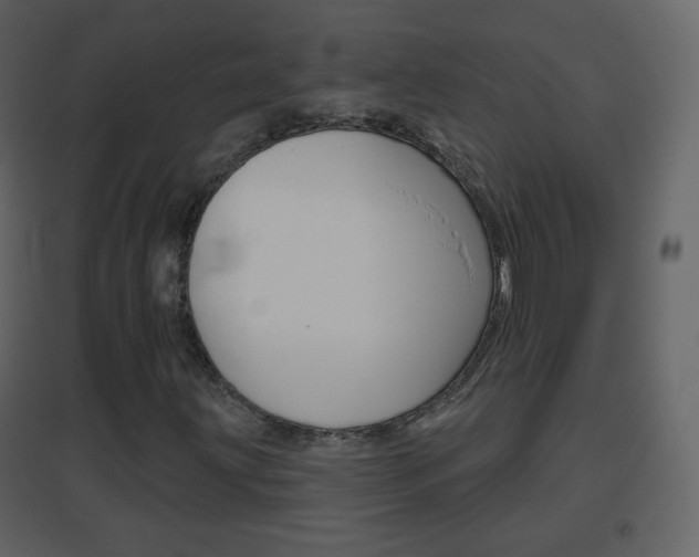 X0000096691203200802051029