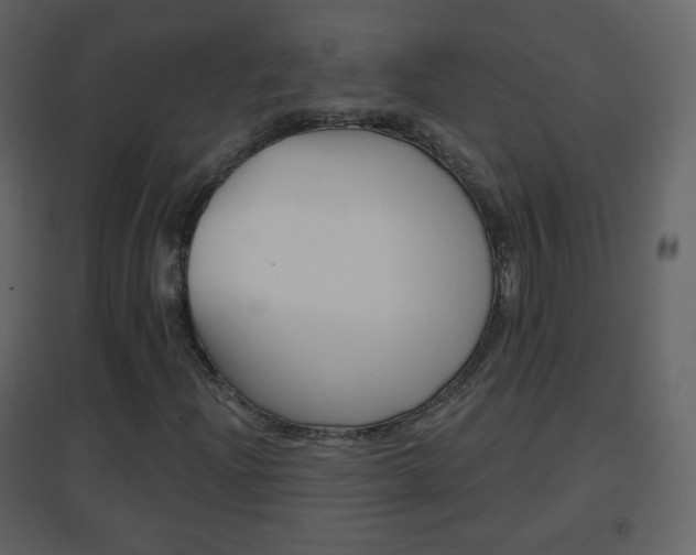 X0000096691204200802051029