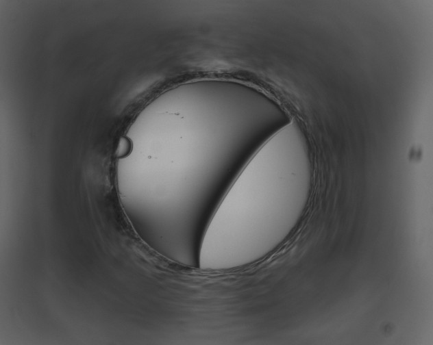 X0000096691205200802051029