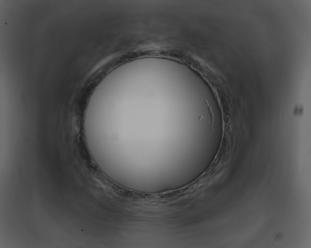 X0000096691206200802051029
