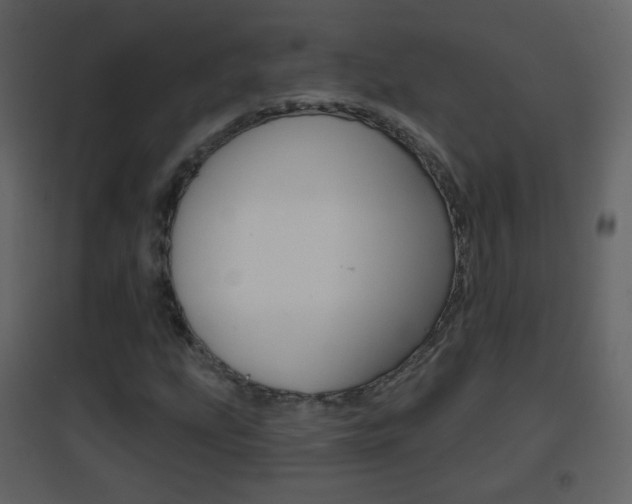 X0000096691207200802051029