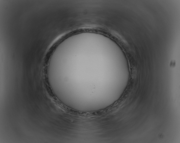 X0000096691208200802051029