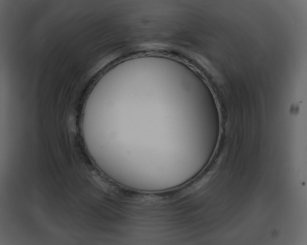 X0000096691209200802051029
