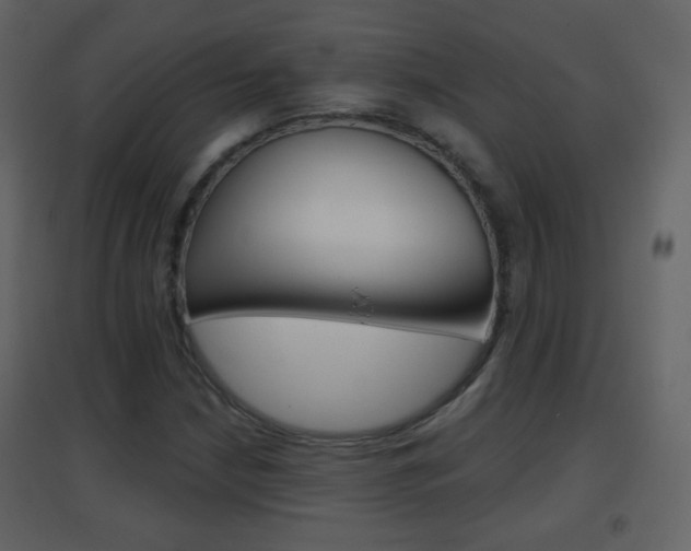 X0000096691210200802051029