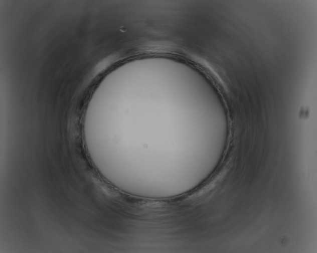 X0000096691211200802051029
