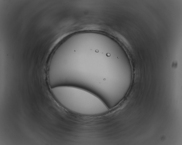 X0000096691212200802051029