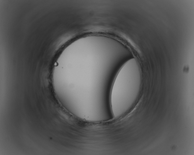 X0000096691213200802051029