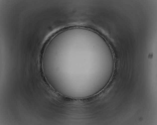 X0000096691214200802051029
