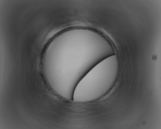 X0000096691215200802051029