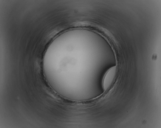 X0000096691217200802051029