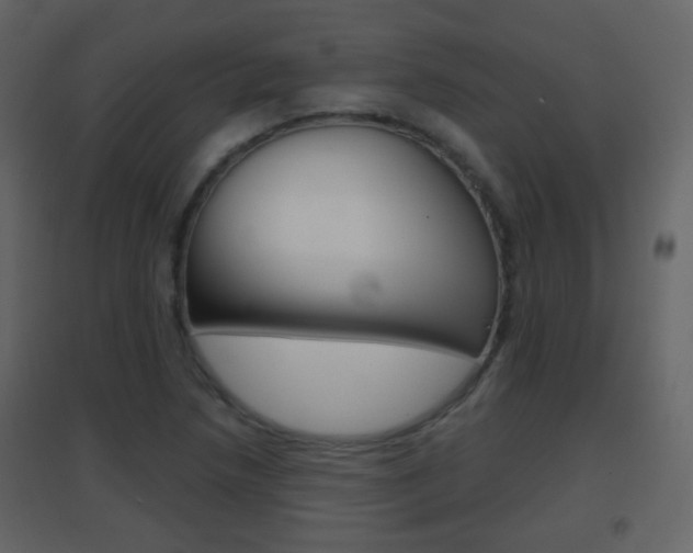 X0000096691218200802051029