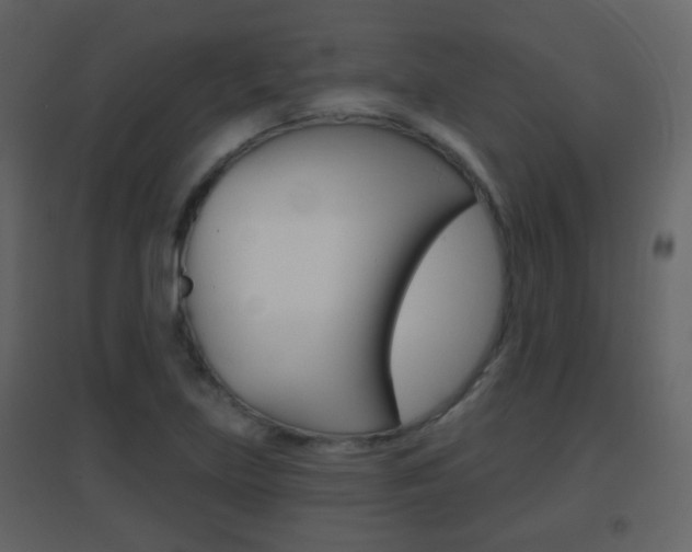 X0000096691219200802051029
