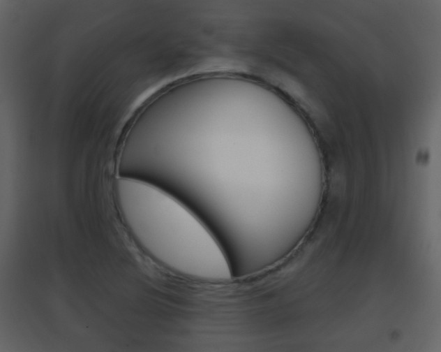 X0000096691220200802051029