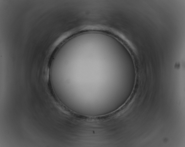X0000096691221200802051029
