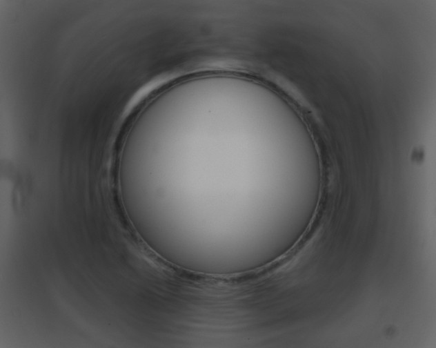 X0000096691222200802051029