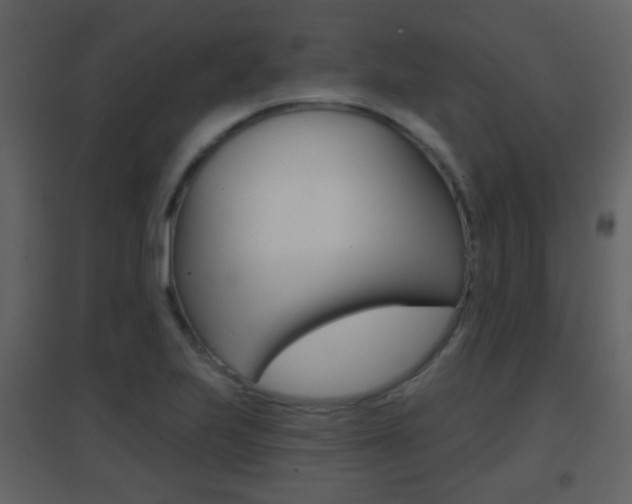 X0000096691223200802051029