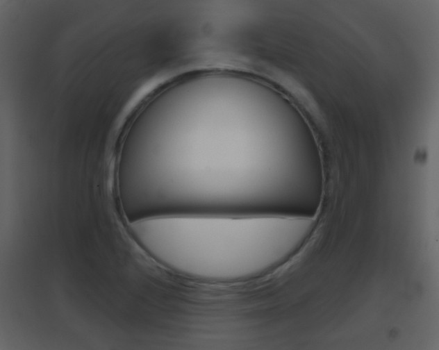 X0000096691224200802051029