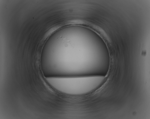 X0000096691225200802051029