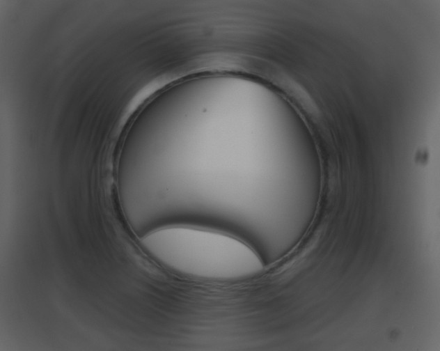 X0000096691226200802051029