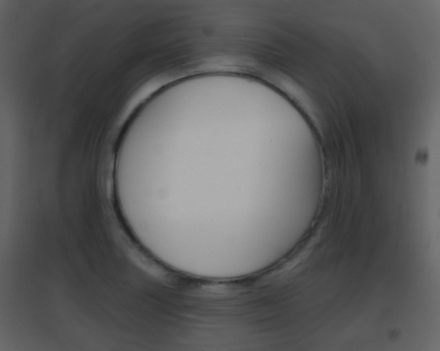 X0000096691227200802051029