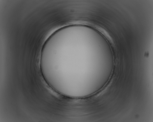 X0000096691228200802051029