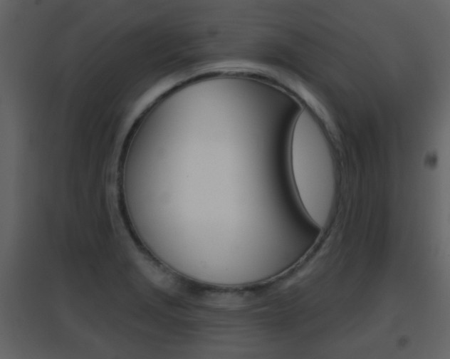 X0000096691229200802051029