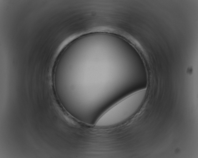 X0000096691230200802051029