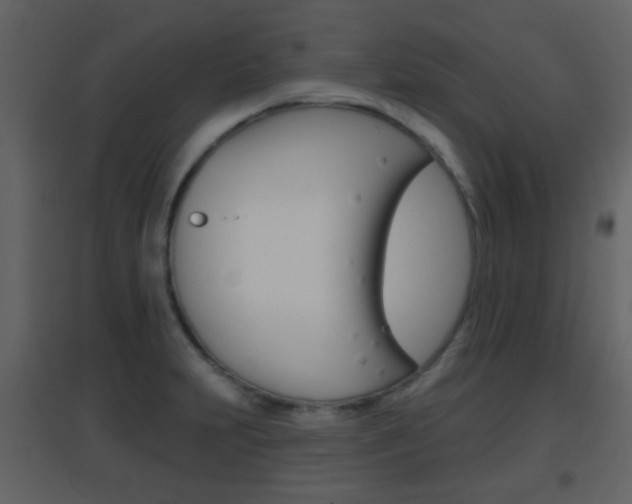 X0000096691231200802051029