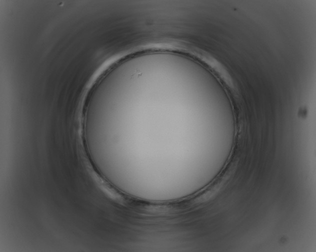 X0000096691232200802051029