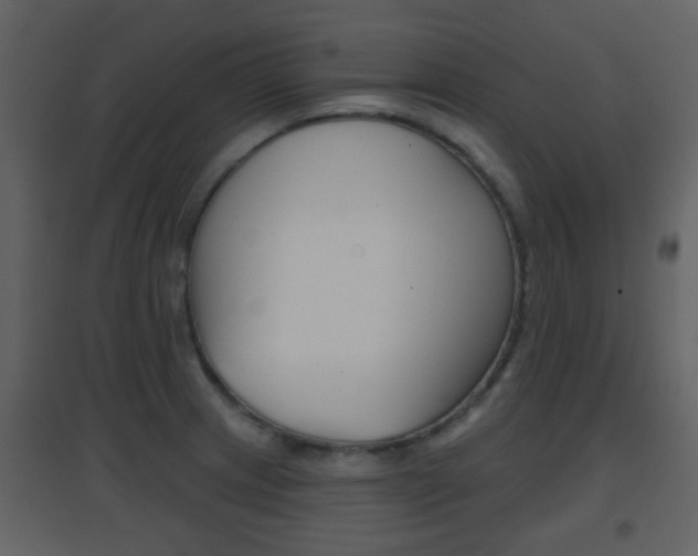 X0000096691233200802051029
